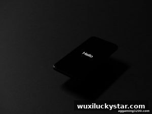 AG真人 wuxiluckystar